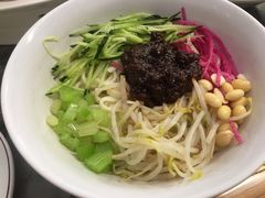 老北京炸酱面-吴记百姓菜馆·北京菜·烤鸭(故宫店)