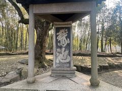 -兰亭风景区