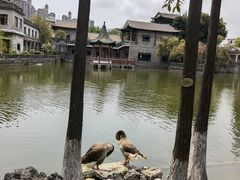 -东莞市可园博物馆