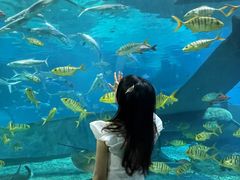 -福州罗源湾海洋世界旅游区