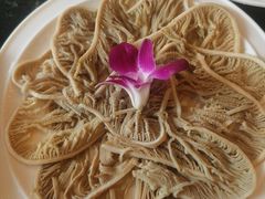 -红鼎坊·老成都火锅(新南门店)