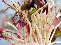 -浙江大学医学院附属第二医院(解放路院区)