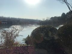 -上海怡沁园度假酒店
