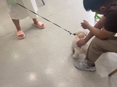 -宠颐生宠物医院·心肾内科·猫专科诊疗中心宠巢店