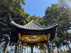 -梅园