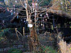 -黄公望隐居地