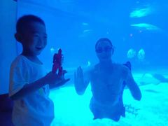 -烟台海昌鲸鲨海洋公园