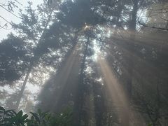 -井冈山风景名胜区