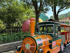 -东南花都花博园