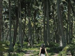 -东郊椰林