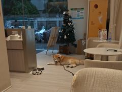 -YCHL Studios健身工作室(市二宫店)