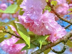 -贵阳市花溪国家城市湿地公园