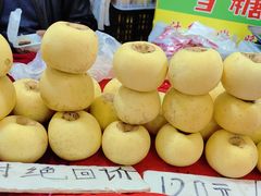 -中国农业博物馆