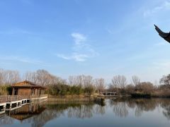 -溱湖国家湿地公园