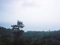 -巢湖姥山岛