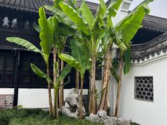 -绮园景区