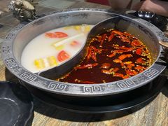 -销魂美蛙鱼头火锅(上海首店)