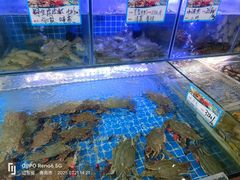 -大锅强·蒸海鲜青岛菜(吾悦广场店)