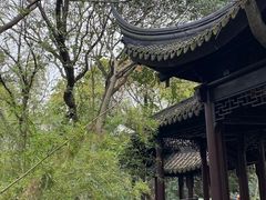 -上海佘山国家森林公园天马山园