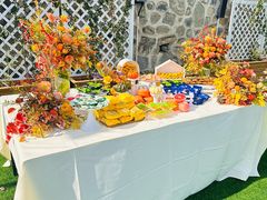 -阳台山自然风景区