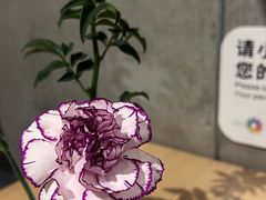-四季餐厅·新津菜(环湖中路店)