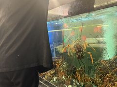 -渔洲情海鲜酒家