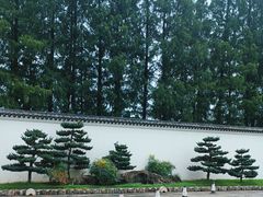 -杭州雅谷泉山庄酒店-餐厅