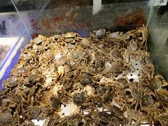 -全盛自助烤肉(大商新玛特鞍山店)