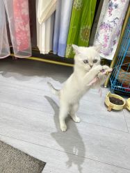 -棠莳旅拍汉服体验馆