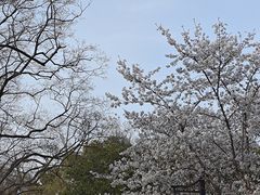 -涵家味土菜馆·徽州一绝臭鳜鱼(三河古镇店)