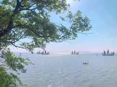 -贡湖湾湿地公园