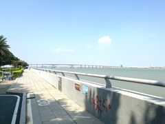 -大湾区中央湿地公园