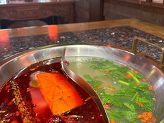 -蜀大侠火锅(森兰花园城店)
