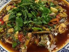 -苏记溪河鲢鱼庄(天府新区店)