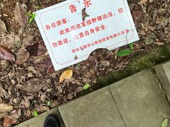 -敬亭山风景名胜区