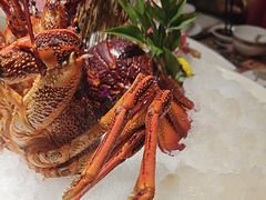 -顺轩海鲜火锅酒家