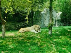 -北京野生动物园