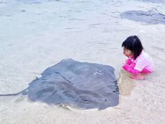 -海南清水湾莱佛士酒店