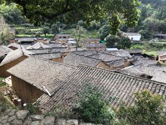 -杨家堂村