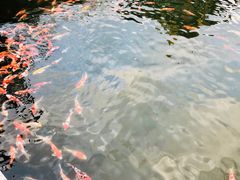 -长春市南湖公园