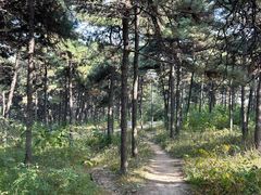 -北京西山国家森林公园