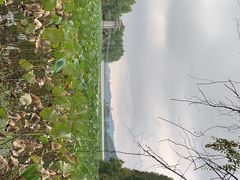 -东湖落雁景区