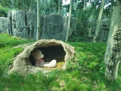 -北京野生动物园
