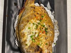 -九府羊·鲜羊火锅·烤串(新华路店)