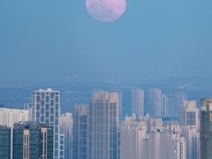 -龙塔