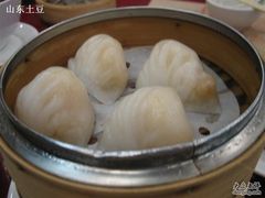 虾饺-糖朝(尖沙咀店)