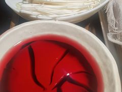 空运鲜鸭血-渝味晓宇火锅(合川路店)