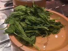 -龍歌自助小火锅(芝罘万达店)