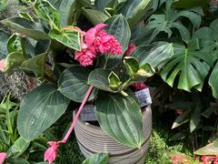 -北京植物园-展览温室