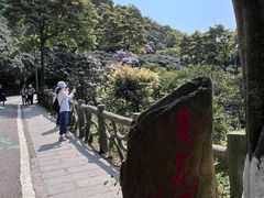 -梧桐山风景名胜区